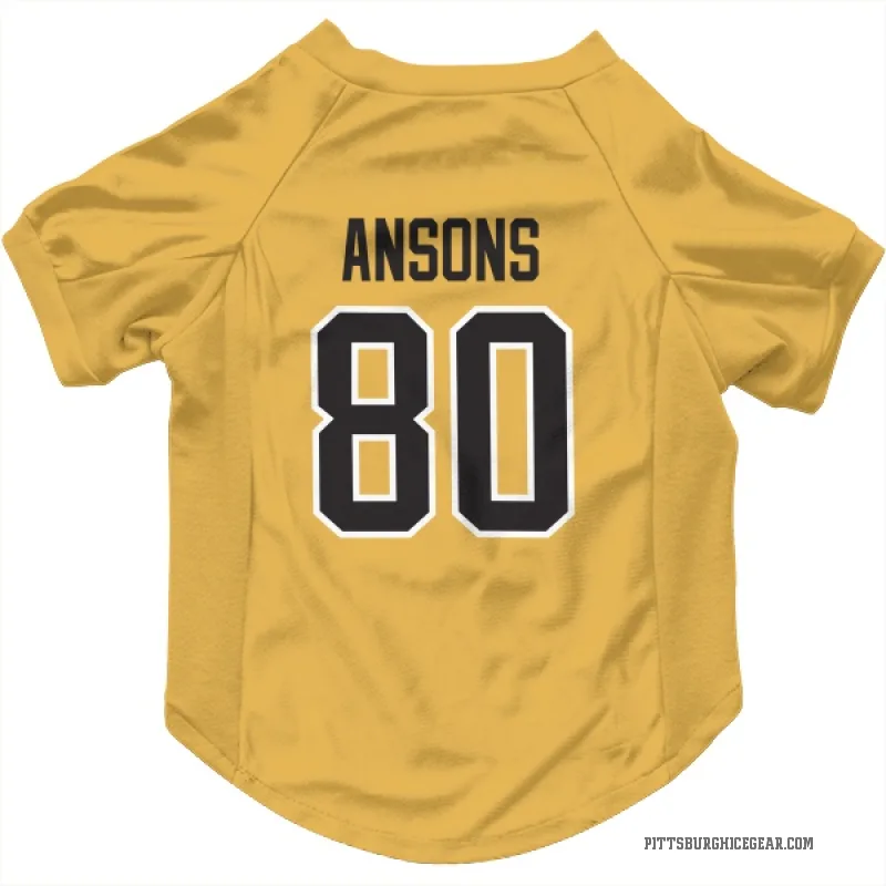 Raivis Ansons Gold Pittsburgh Penguins Cat & Dog Pet Jersey